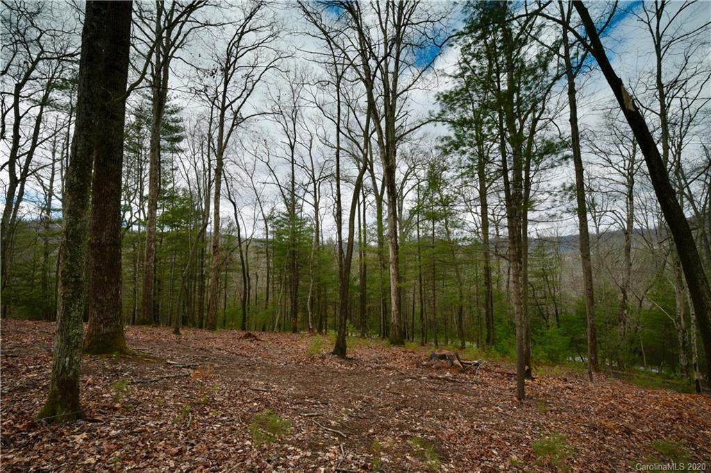 36 Dividing Ridge Trail - Photo 1