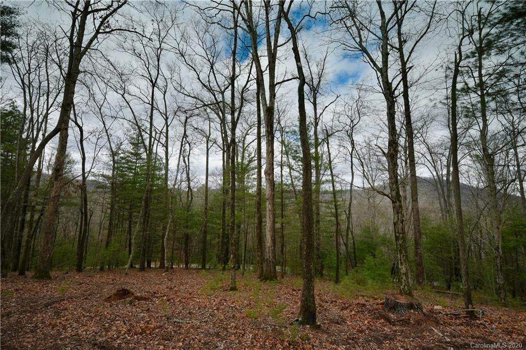 36 Dividing Ridge Trail - Photo 1