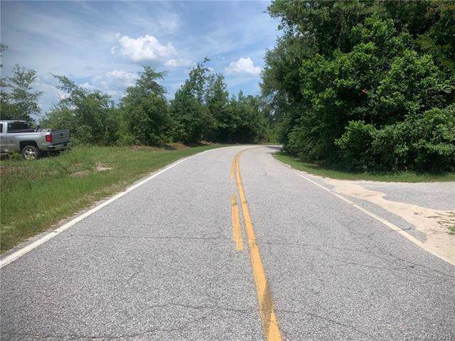 TBD Ned Williams Road - Photo 1