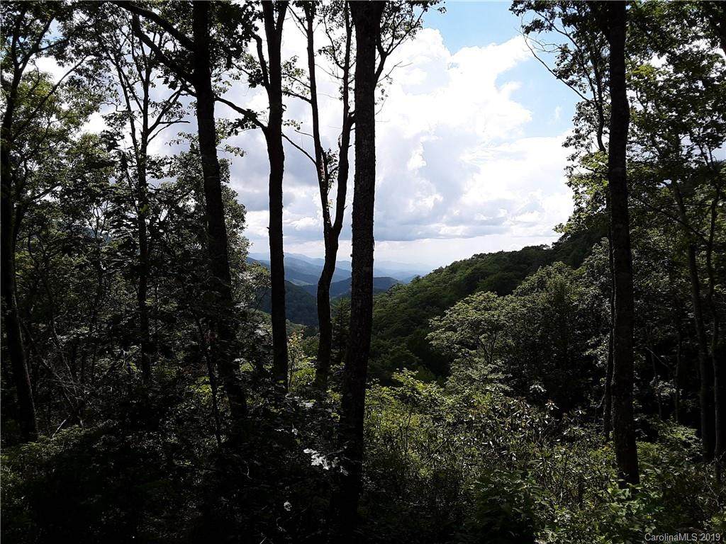 00 Plott Balsam Road - Photo 1