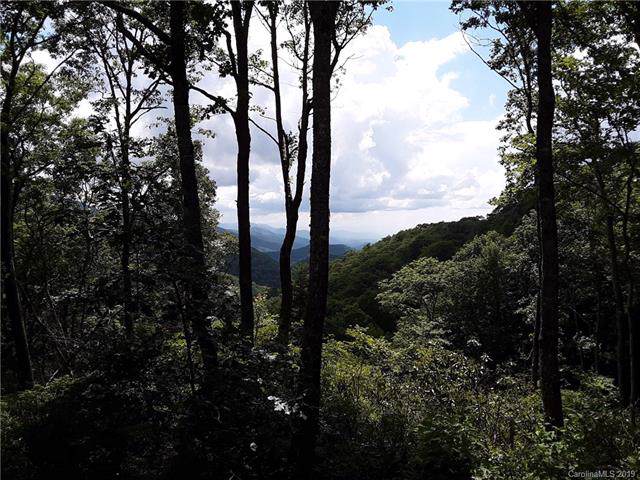 00 Plott Balsam Road - Photo 1