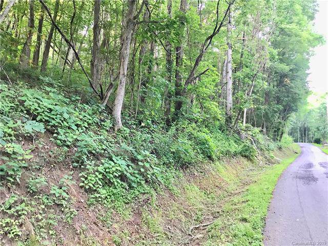 Lot 301 Old Country Road - Photo 1