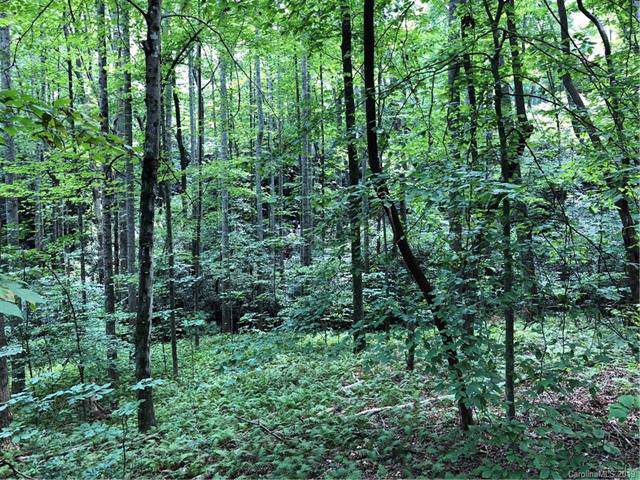 0 Quail Hollow Road - Photo 1