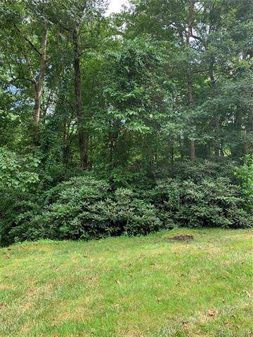 0 Black Gum Court - Photo 1