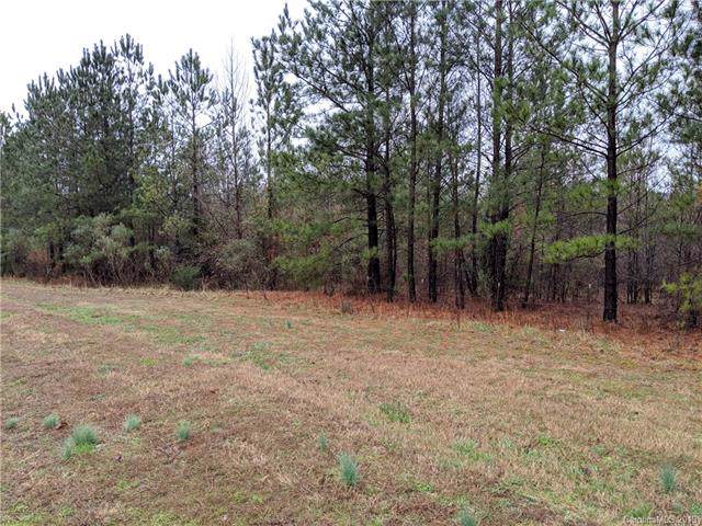 1604 Restless One Lane - Photo 1