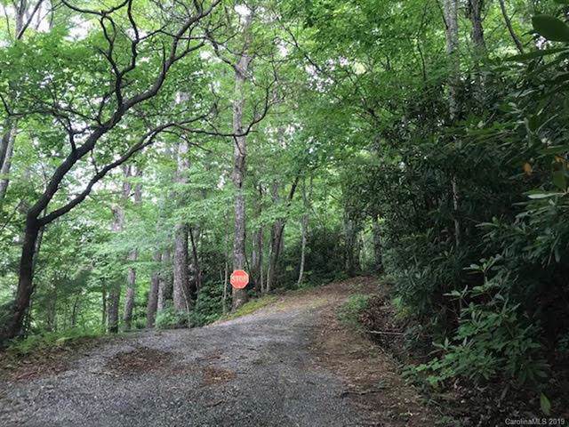 00000 Viking Trail - Photo 1