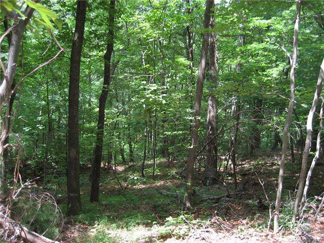 000 Bobcat Trail - Photo 1