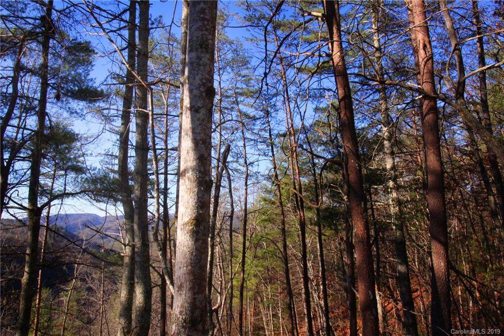 Lot 58 Turkey Spur Road - Photo 1