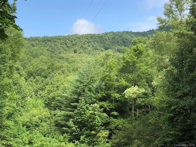 00 Bear Cub Drive - Photo 1
