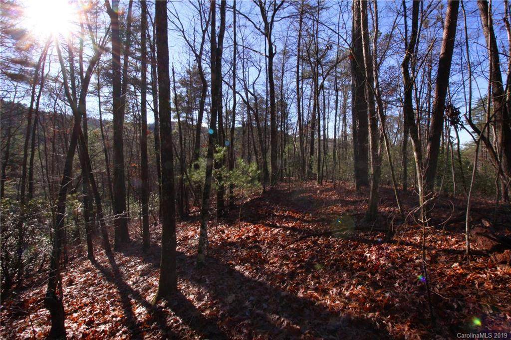 Lot 27 Oconee Bell Lane - Photo 1