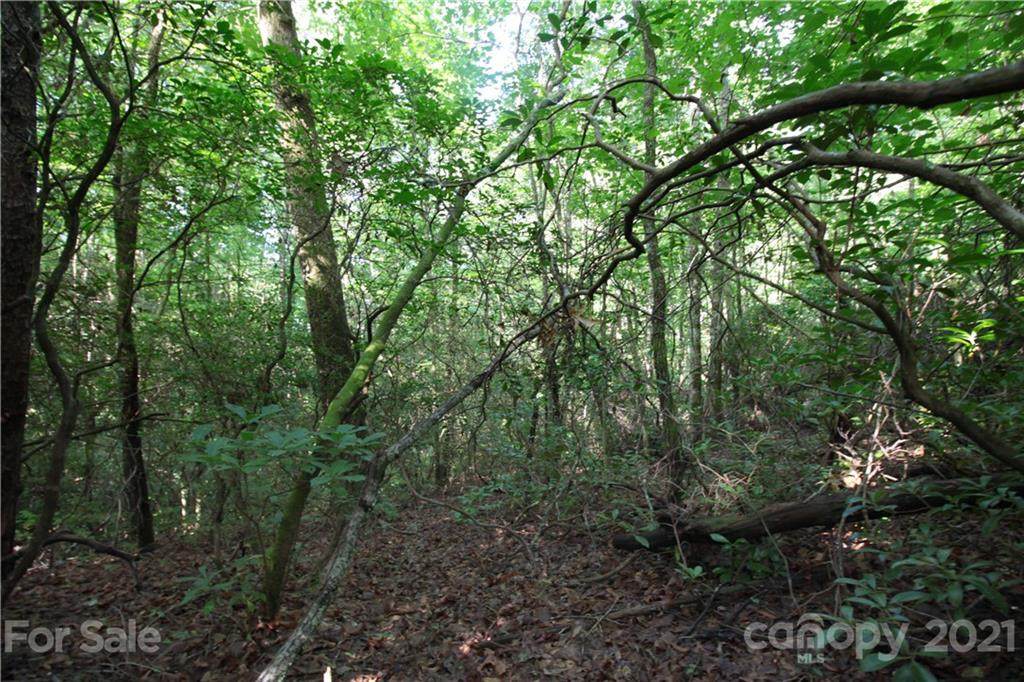 Lot 19 Gastons Bee Gum Road - Photo 1