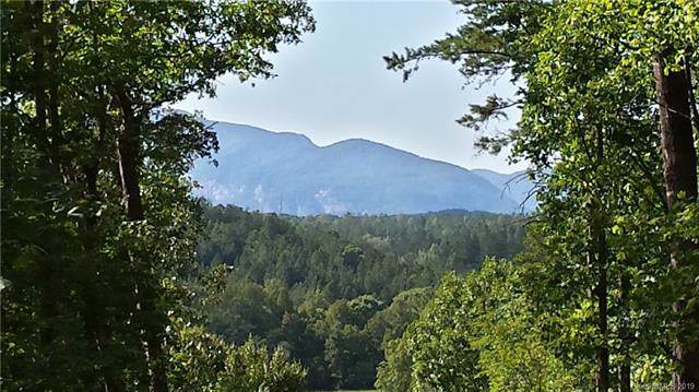 Lot 10 Cross Creek Trail - Photo 1