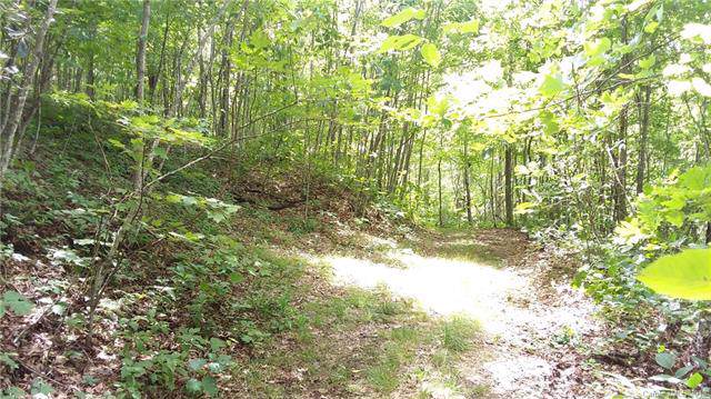 000 Caperton Point Road - Photo 1
