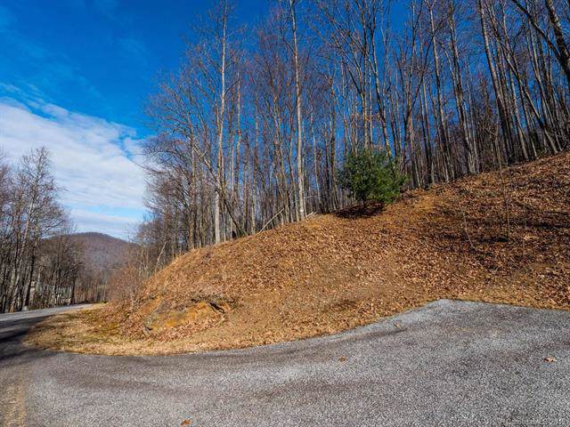 1158 Standing Deer Trace - Photo 1