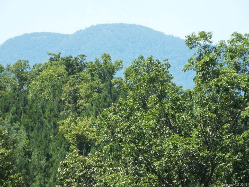 3825 Big Level Road - Photo 1