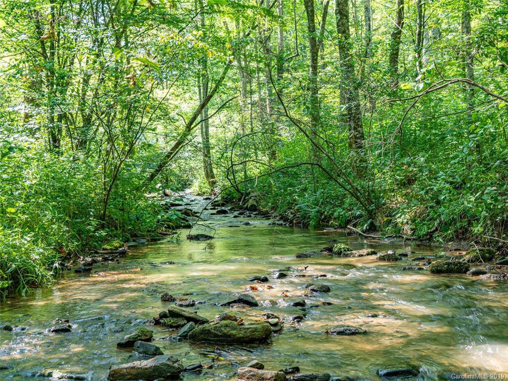 TBD Nc Hwy 197 Highway - Photo 1