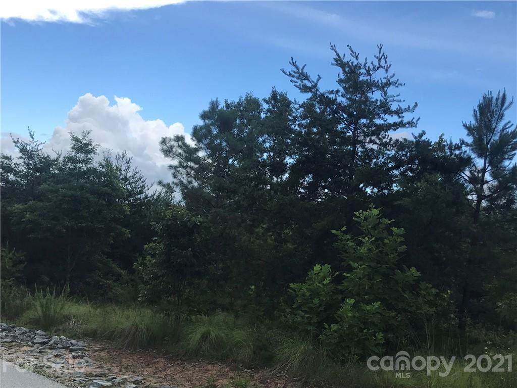 Lot 13 Panorama Drive - Photo 1