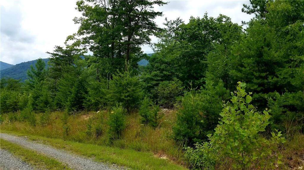 0 Fox Ridge Trail - Photo 1