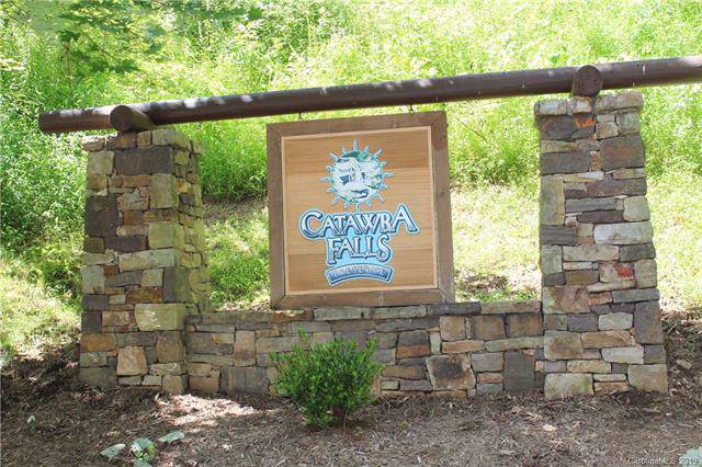 ## Catawba Falls Trail - Photo 1