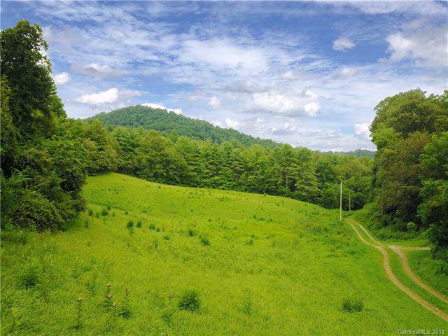 000 Cedar Cliff Road - Photo 1