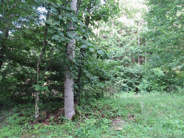 1549 Fox Creek Road - Photo 1