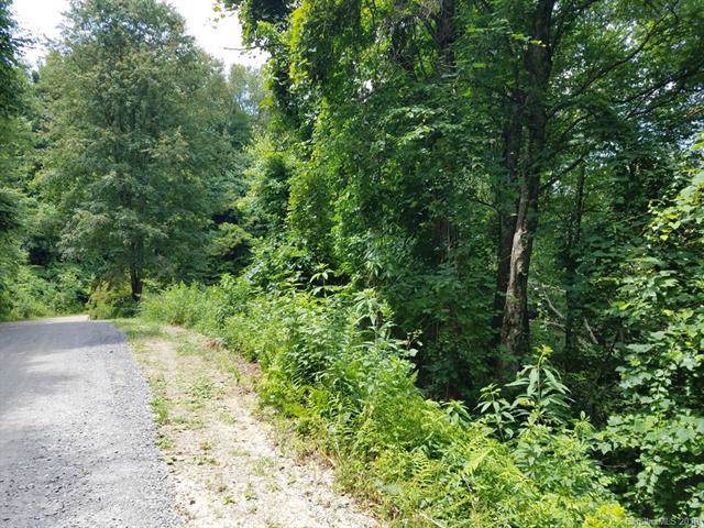Lot 63 Hunters Ridge Road - Photo 1