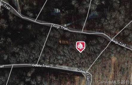 00000 Asgi Trail - Photo 1