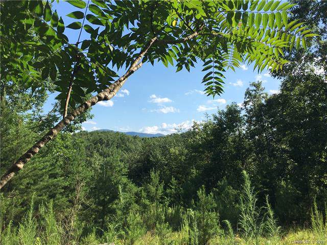 1292 (1239) Mcguinn Road - Photo 1