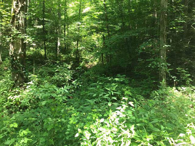 00 Wilkins Creek Road - Photo 1