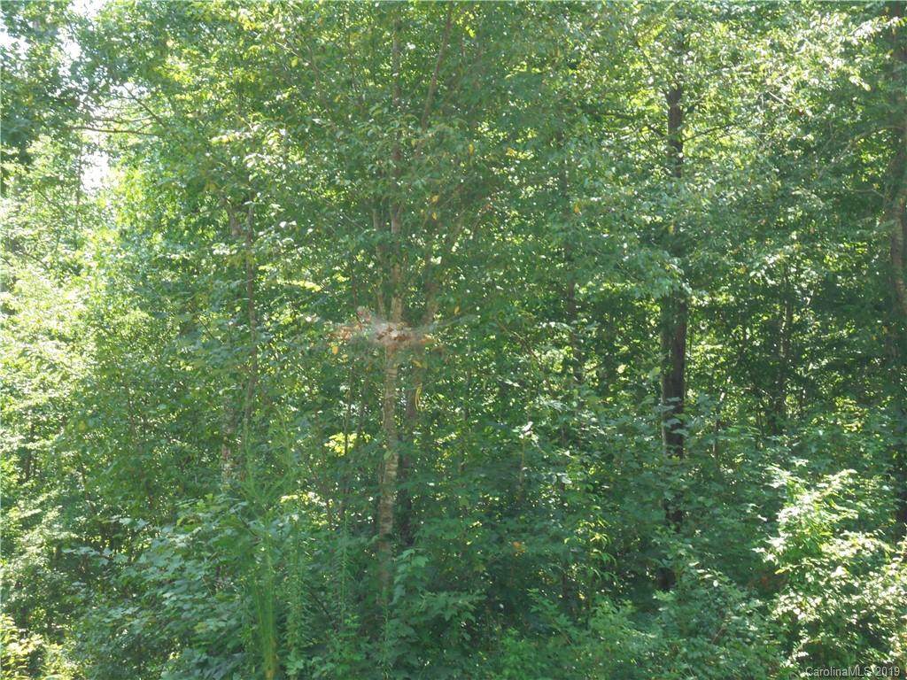 0000 Mt Hope Church Road - Photo 1