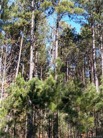 4700 Persimmon Road - Photo 1