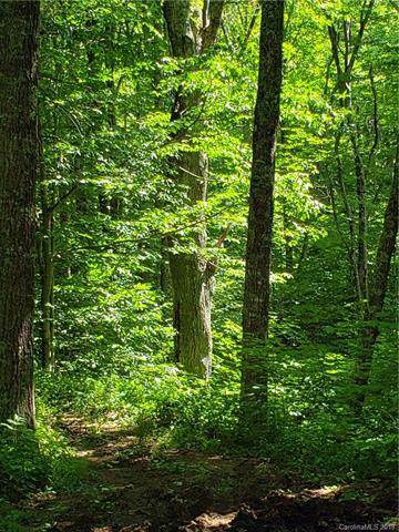 00 Powdermill Creek Road - Photo 1