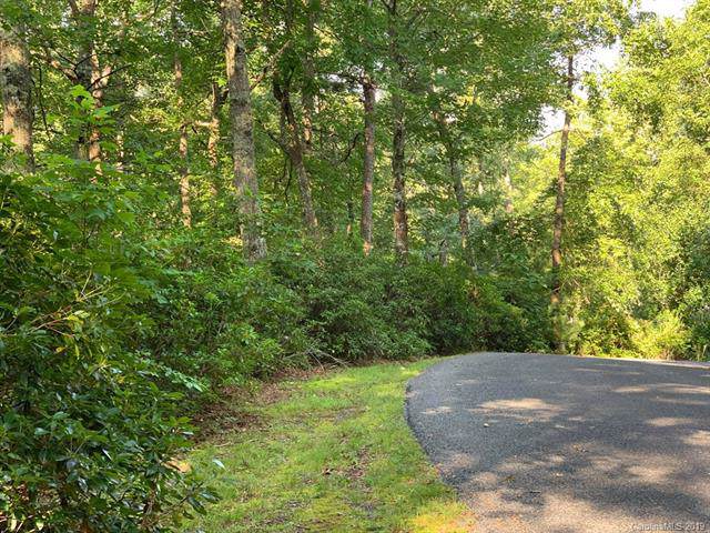Lot 11 Butternut Lane - Photo 1