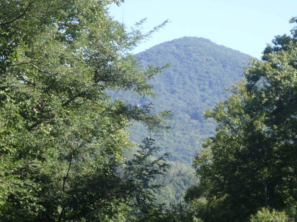 52 & 53 Jonathan Trail - Photo 1