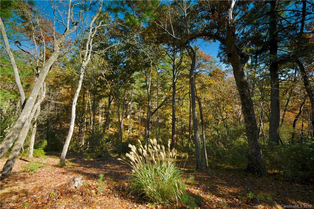 126 Powder Creek Trail - Photo 1 126 Powder Creek Trail - Photo 1