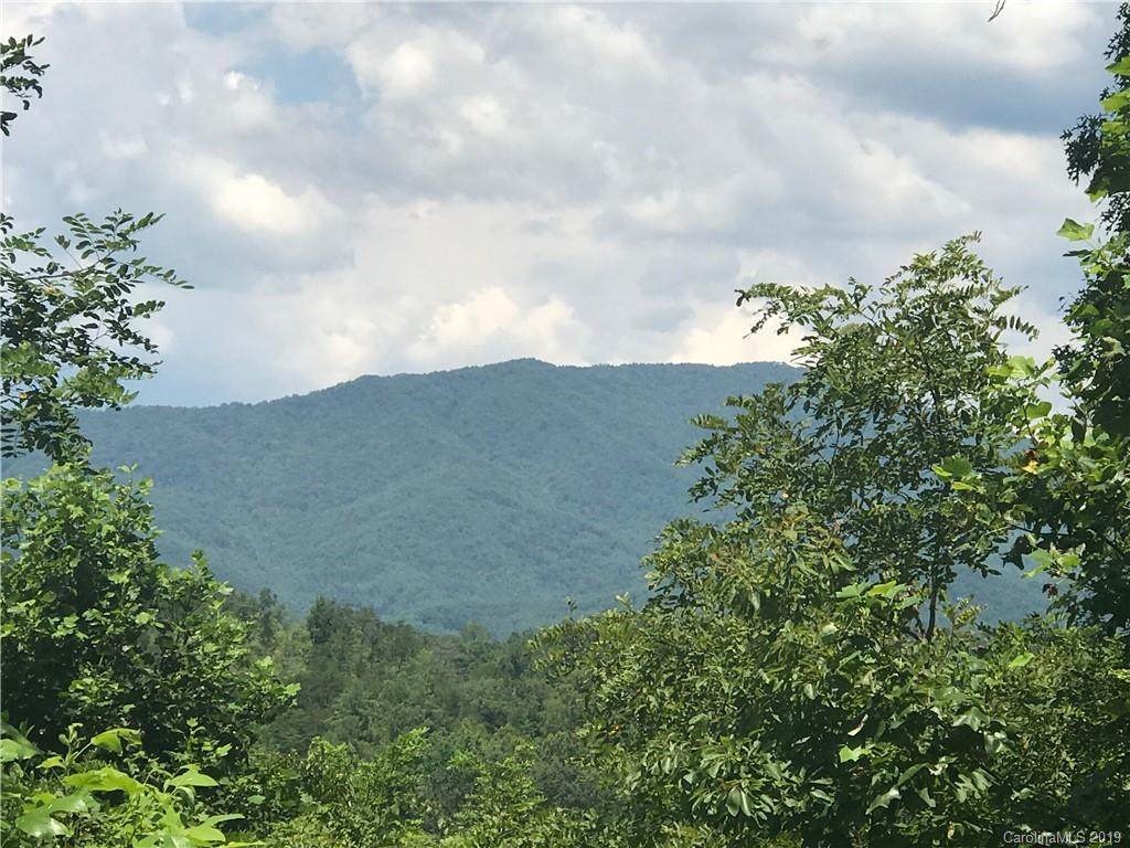 Lot 2 Fiddlers Mountain Road - Photo 1