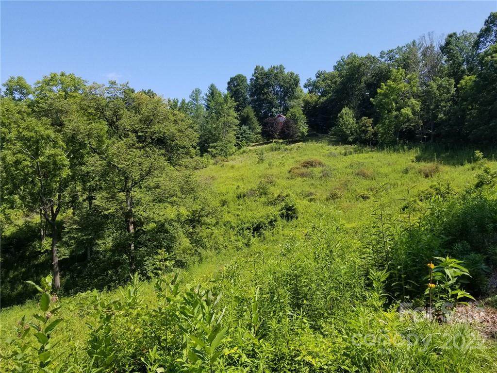 TBD Clearmont Mtn Estates Road - Photo 1
