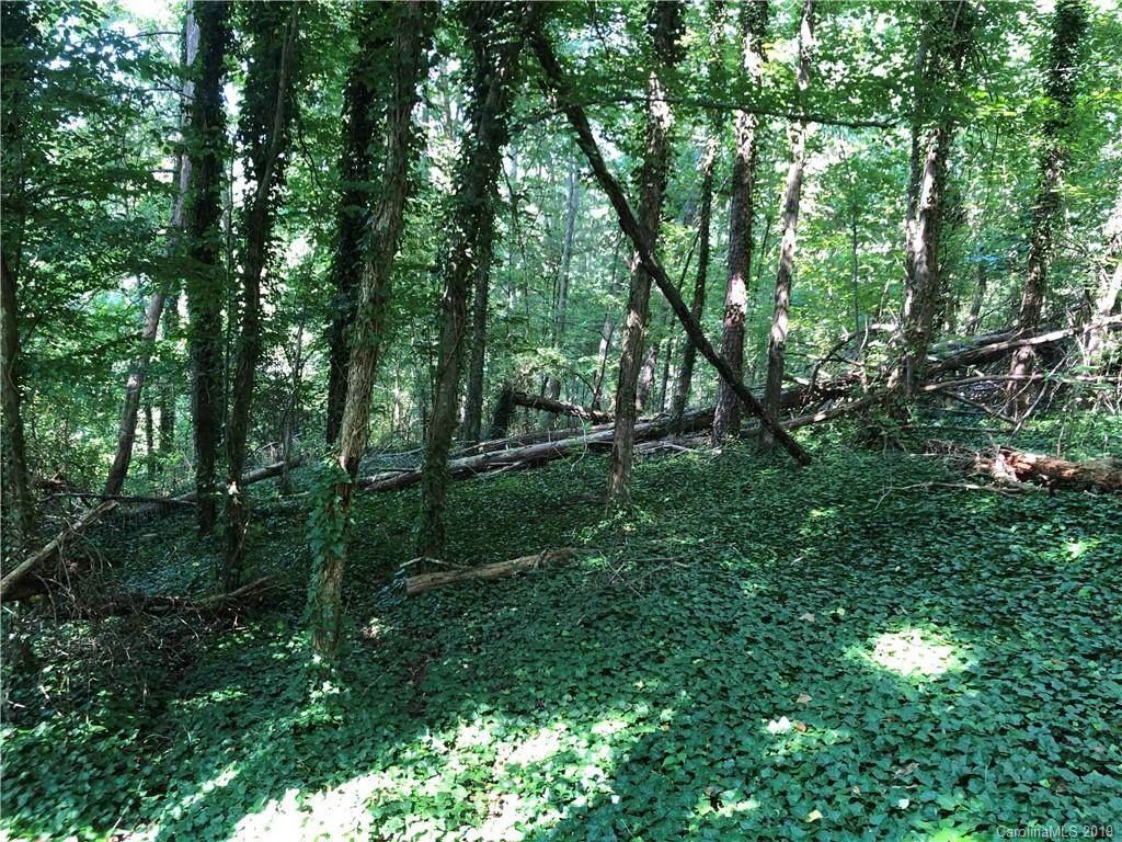 1000 Old Leicester Highway - Photo 1