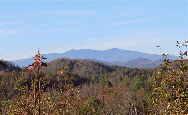 Lot 958A Low Valley Way - Photo 1