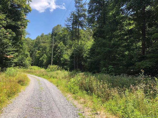 00 Poplar Creek Road - Photo 1