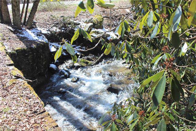 00 Puncheon Fork Road - Photo 1