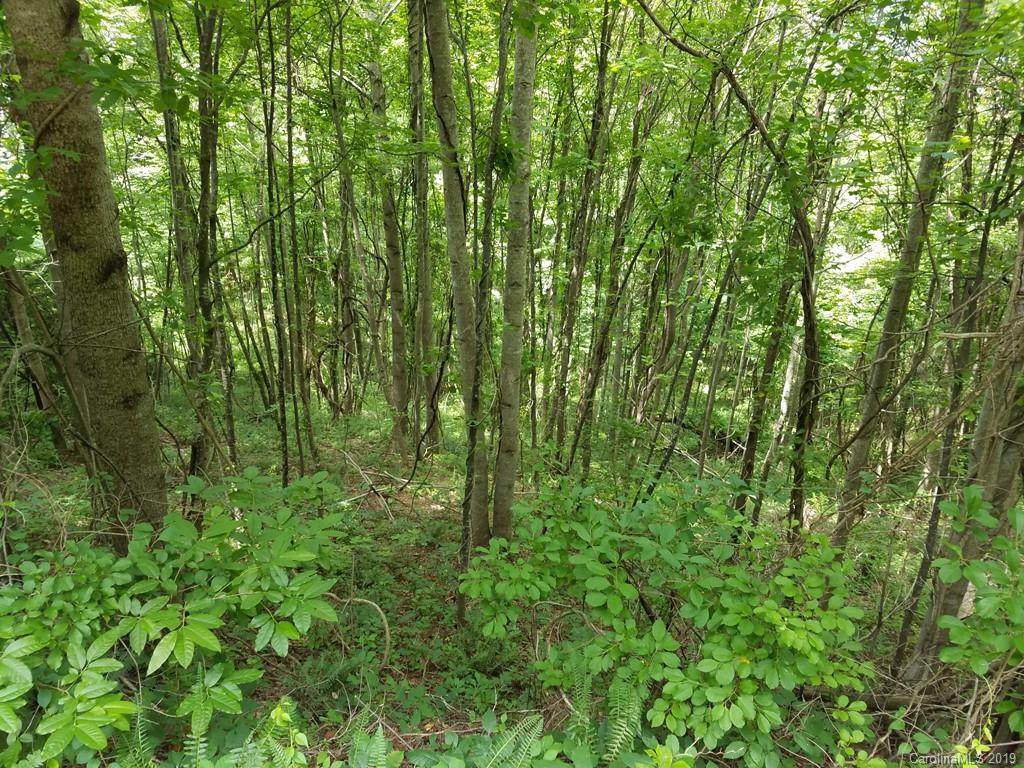 Lot 62 Dove Way - Photo 1