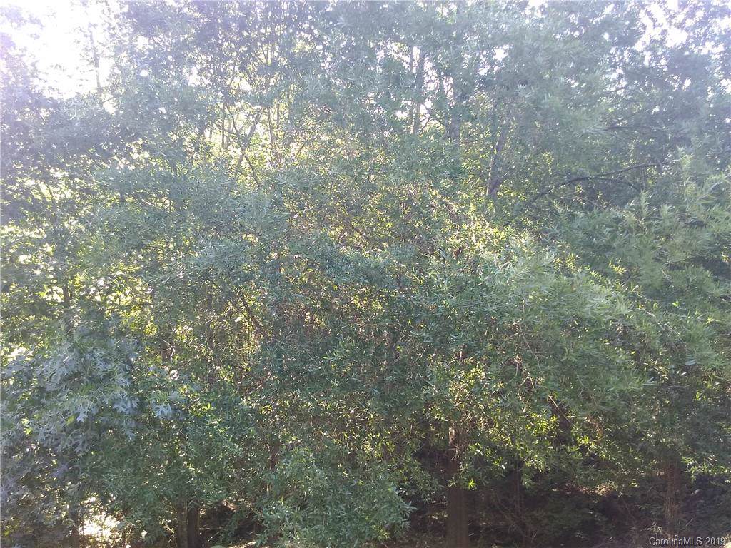 Lot 30 Mintew Circle - Photo 1