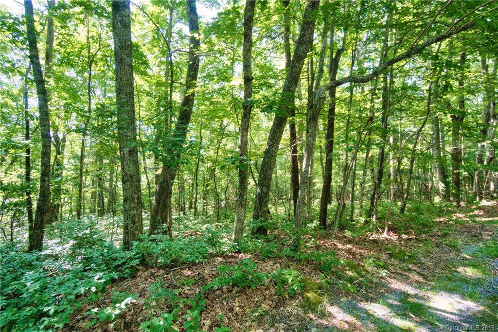 L-H206R Juniper Lane - Photo 1
