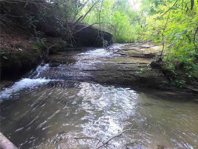 53.76 +/- Acres Bearwallow Road - Photo 1