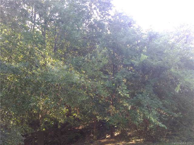 Lot 29 Mintew Circle - Photo 1