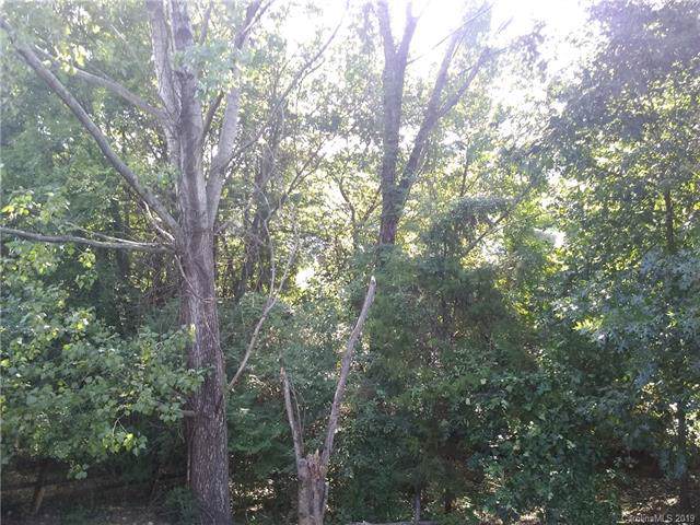 Lot 28 Mintew Circle - Photo 1