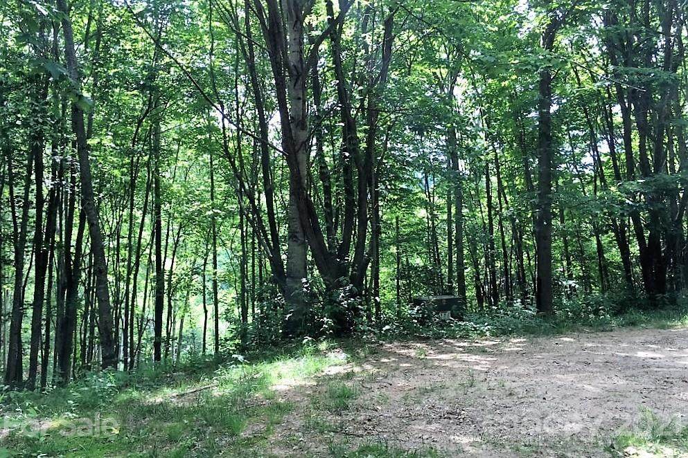 233 Down The Hill Road - Photo 1