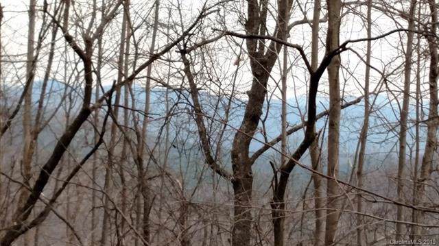00 Pinnacle Parkway - Photo 1