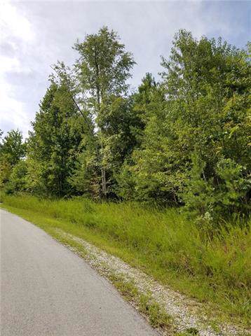 V/L Lowden Drive - Photo 1